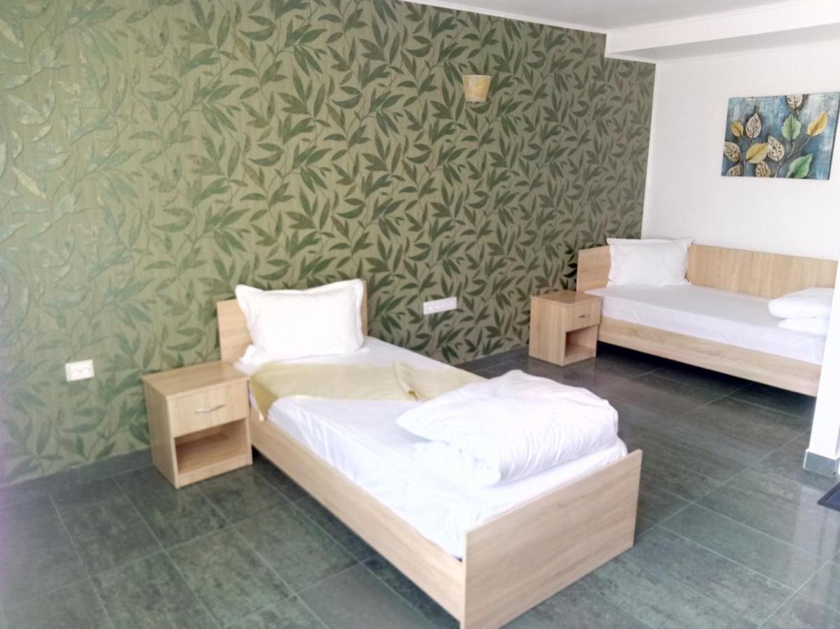 Camere De Inchiriat Carpati Hunedoara Exterior foto