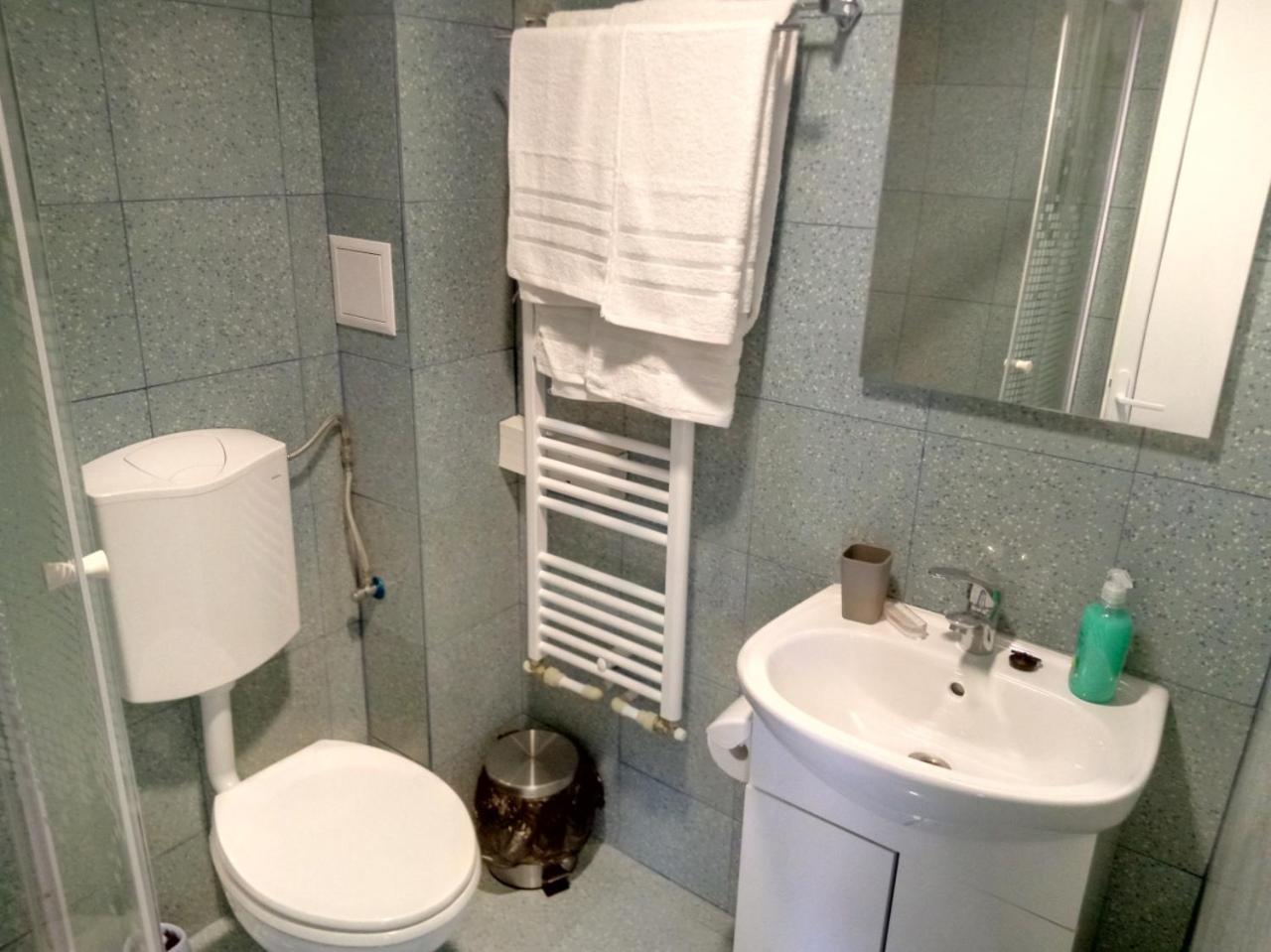 Camere De Inchiriat Carpati Hunedoara Exterior foto