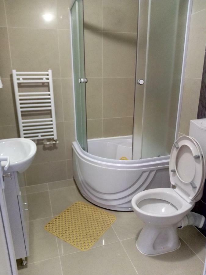 Camere De Inchiriat Carpati Hunedoara Exterior foto